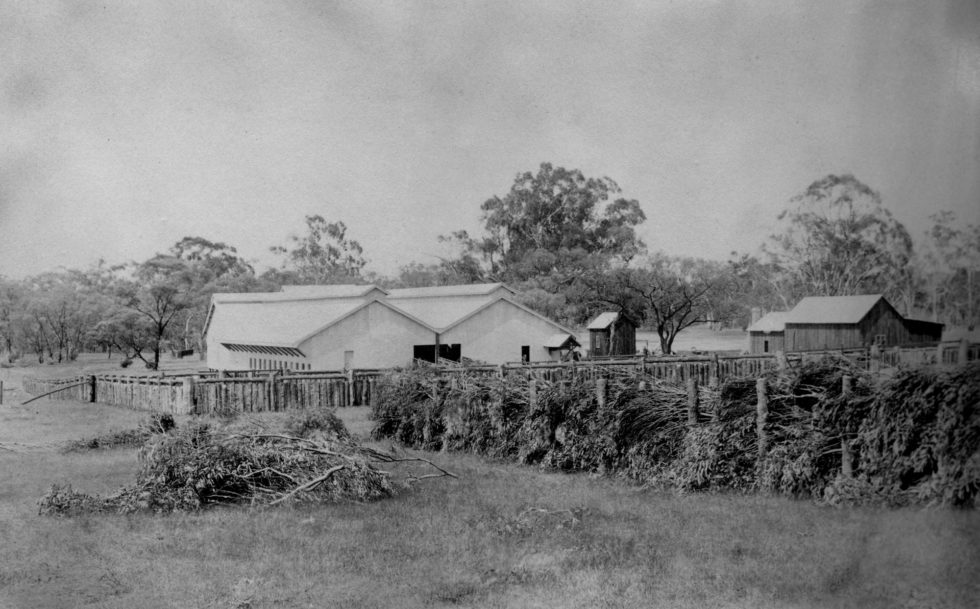 Mildura Station Homestead - The Chaffey Trail